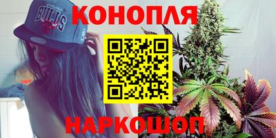 соль ск Кингисепп