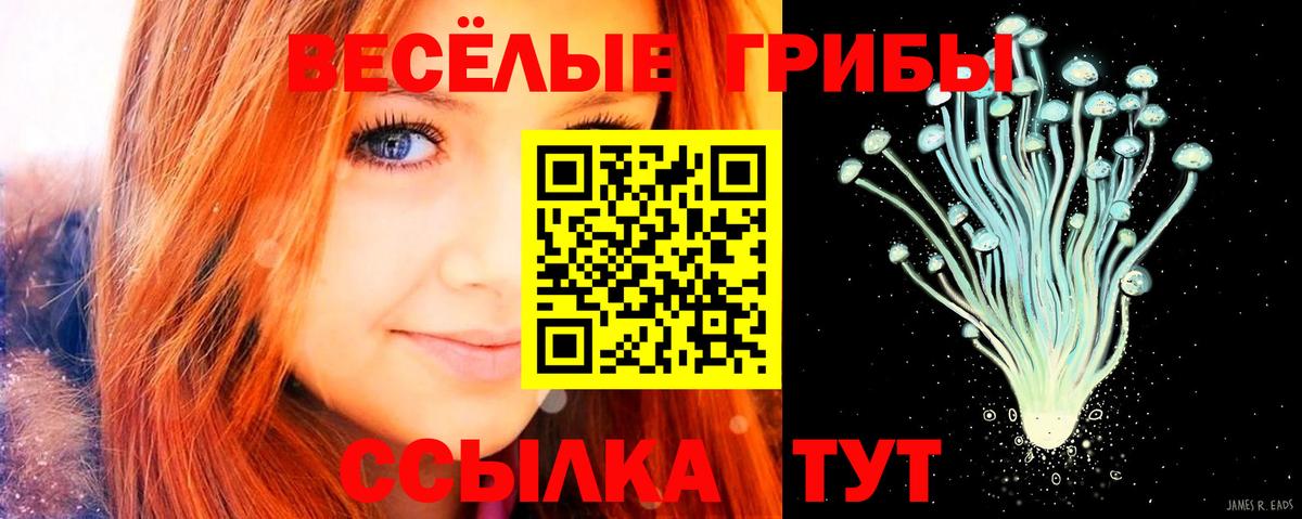 Благовещенск  Галлюциногенные грибы мухоморы  Вход с VPN 