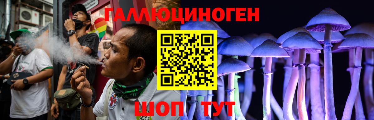 Галлюциногенные грибы GOLDEN TEACHER Благовещенск